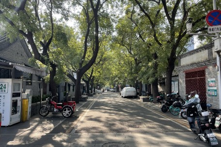 阜成門內(nèi)北街 - 一條位于北京市西城區(qū)中部的古老街道