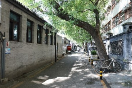 金魚(yú)胡同：古都北京中的璀璨明珠