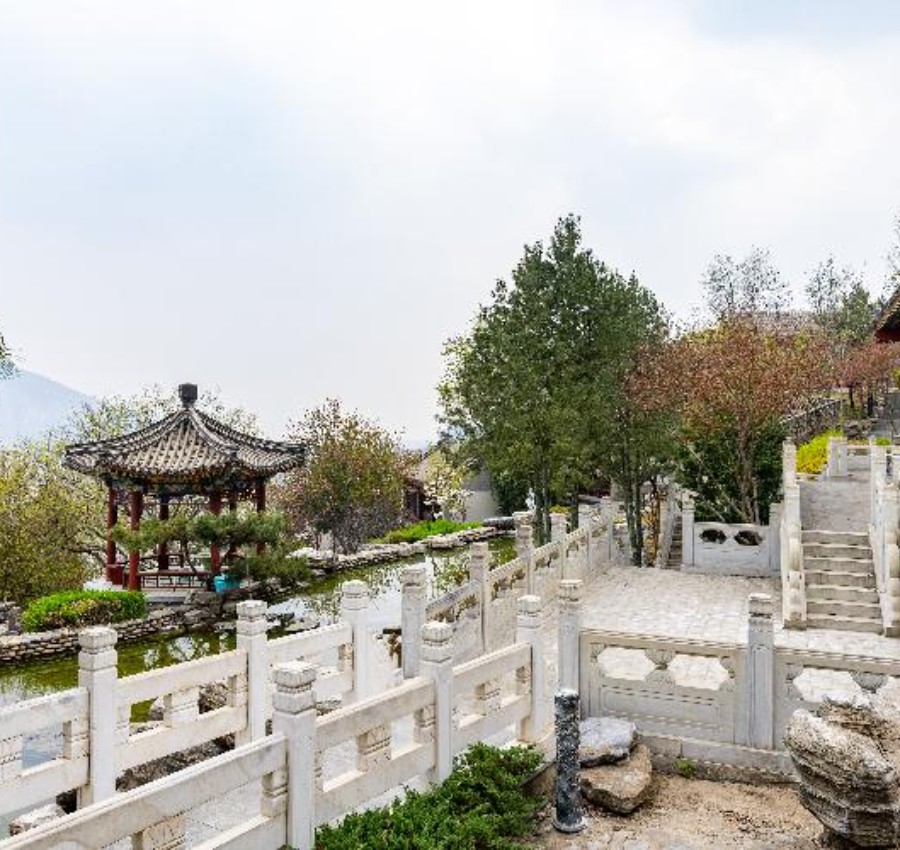 庭院